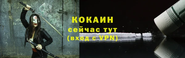 соль ск Каменногорск