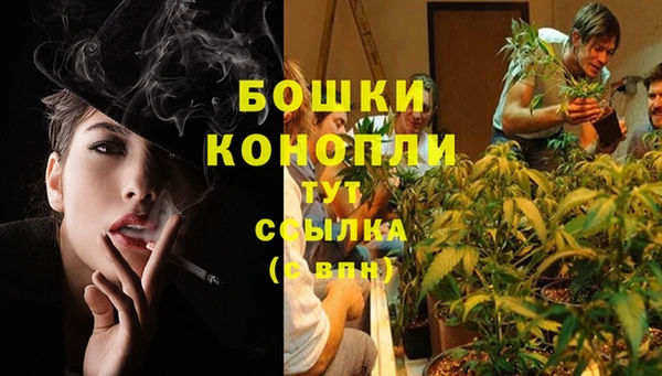 соль ск Каменногорск