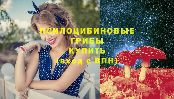 наркотики Каменка