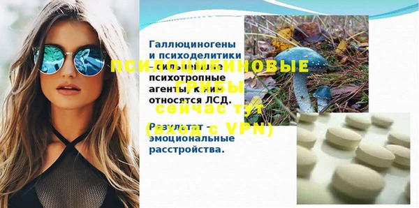 молекула духа Каменск-Шахтинский