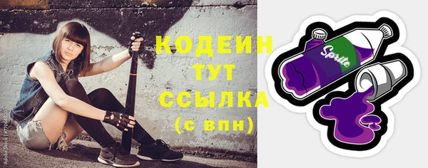 молекула духа Каменск-Шахтинский