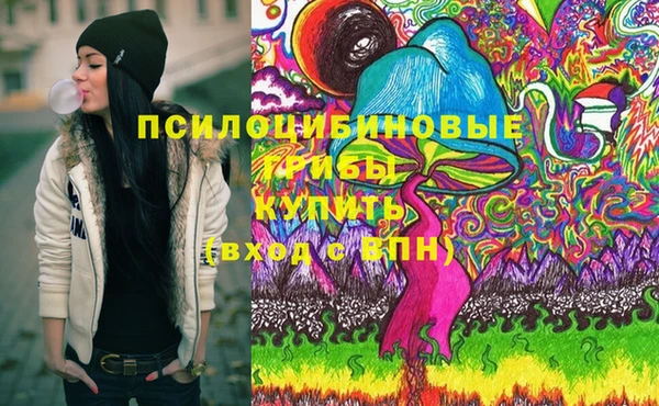 молекула духа Каменск-Шахтинский