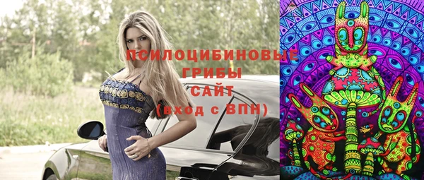соль ск Каменногорск